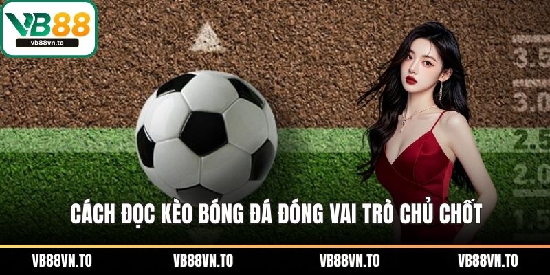 Cách đọc kèo bóng đá đóng vai trò chủ chốt