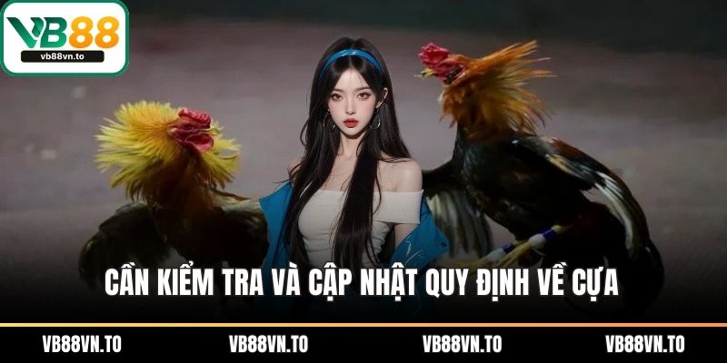 Cần kiểm tra và cập nhật quy định về cựa