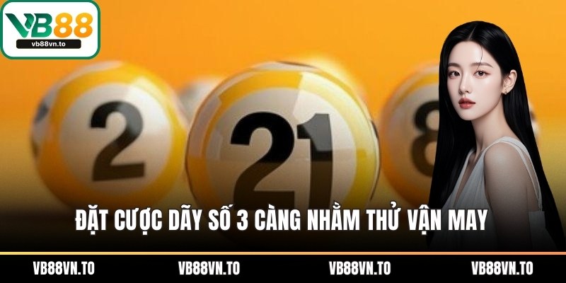Đặt cược dãy số 3 càng nhằm thử vận may