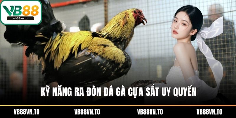 Kỹ năng ra đòn đá gà cựa sắt uy quyền