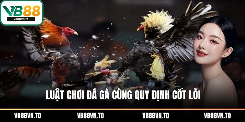 Luật chơi đá gà cùng quy định cốt lõi