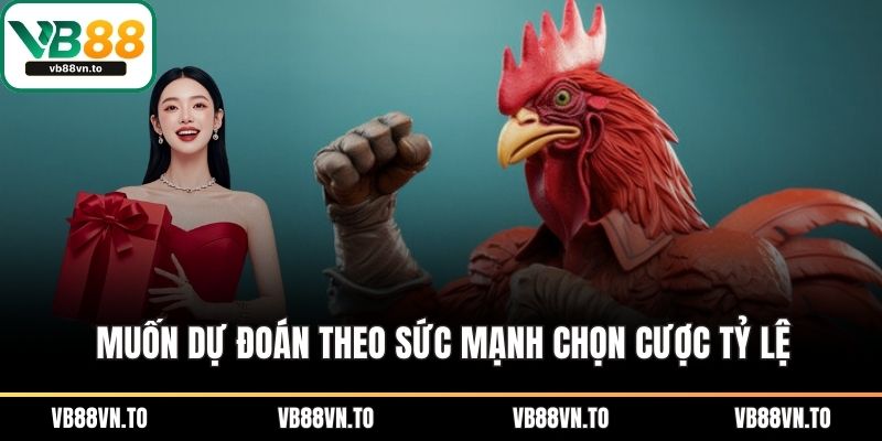 Muốn dự đoán theo sức mạnh chọn cược tỷ lệ