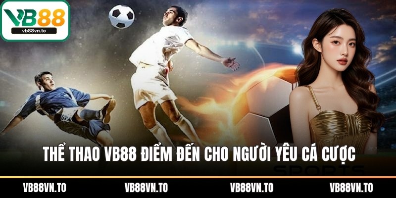Thể thao VB88 điểm đến cho các dân chơi