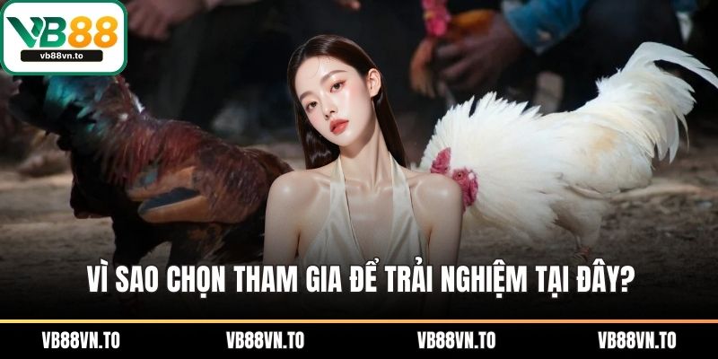 Vì sao chọn tham gia để trải nghiệm tại đây?