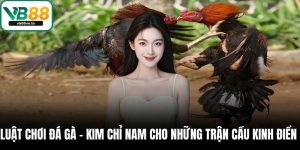 luật chơi đá gà