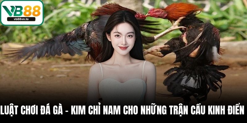 luật chơi đá gà
